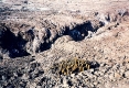 Prince Philip's Steps - Lava cactus